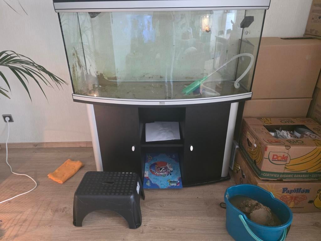 Aquarium te koop, Ophalen of Verzenden