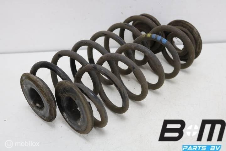 Set achterveren Audi A3 8P 1K0411105DA, Gebruikt