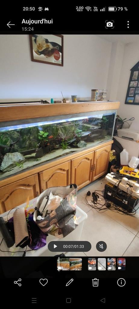 Volledig aquarium, Dieren en Toebehoren, Ophalen, Verwarming