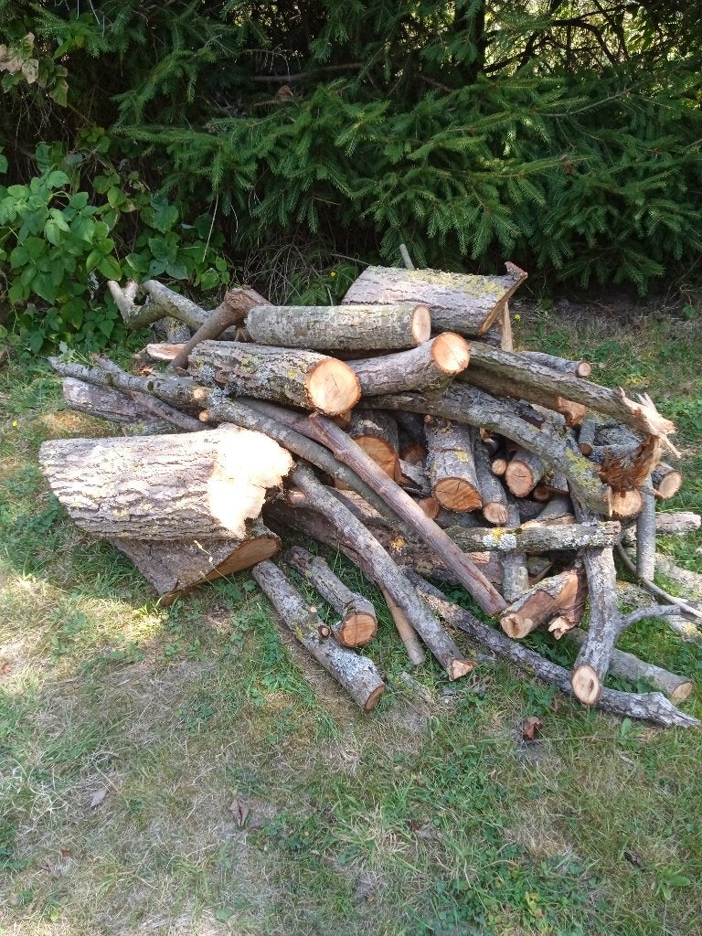 bois de chauffage, Jardin & Terrasse, Bois de chauffage, Moins de 3 m³, Enlèvement, Bûches