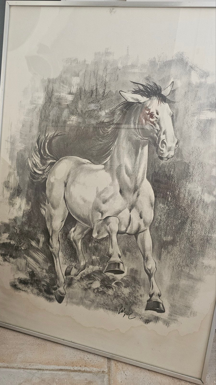 Grote houtskooltekening paard, Antiquités & Art, Art | Dessins & Photographie, Enlèvement ou Envoi, Dessin au fusain