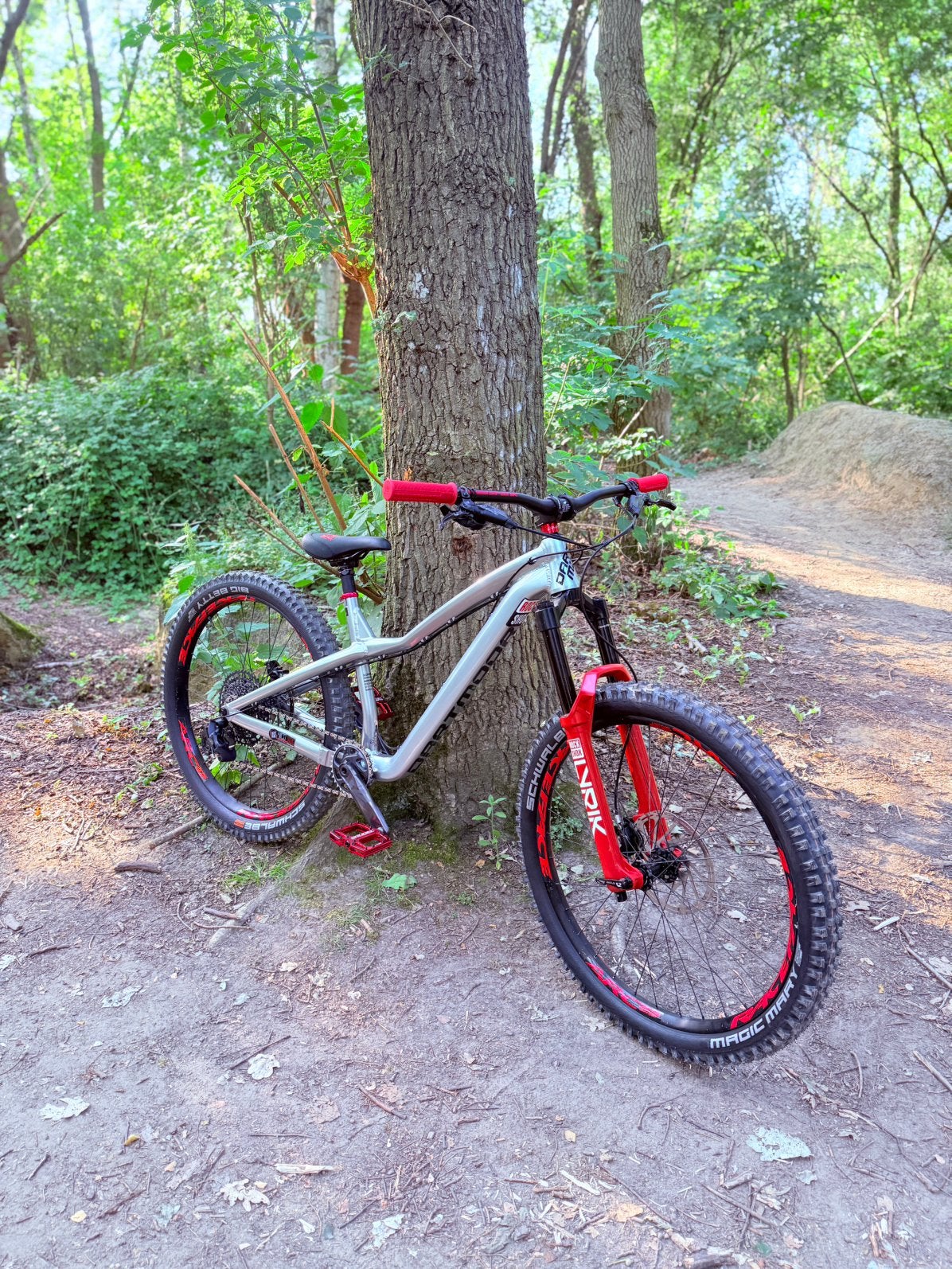 Custom Dartmoor hornet pro enduro hardtail - medium 27.5”, Vélos & Vélomoteurs, Vélos | VTT & Mountainbikes, Comme neuf, VTT semi-rigide