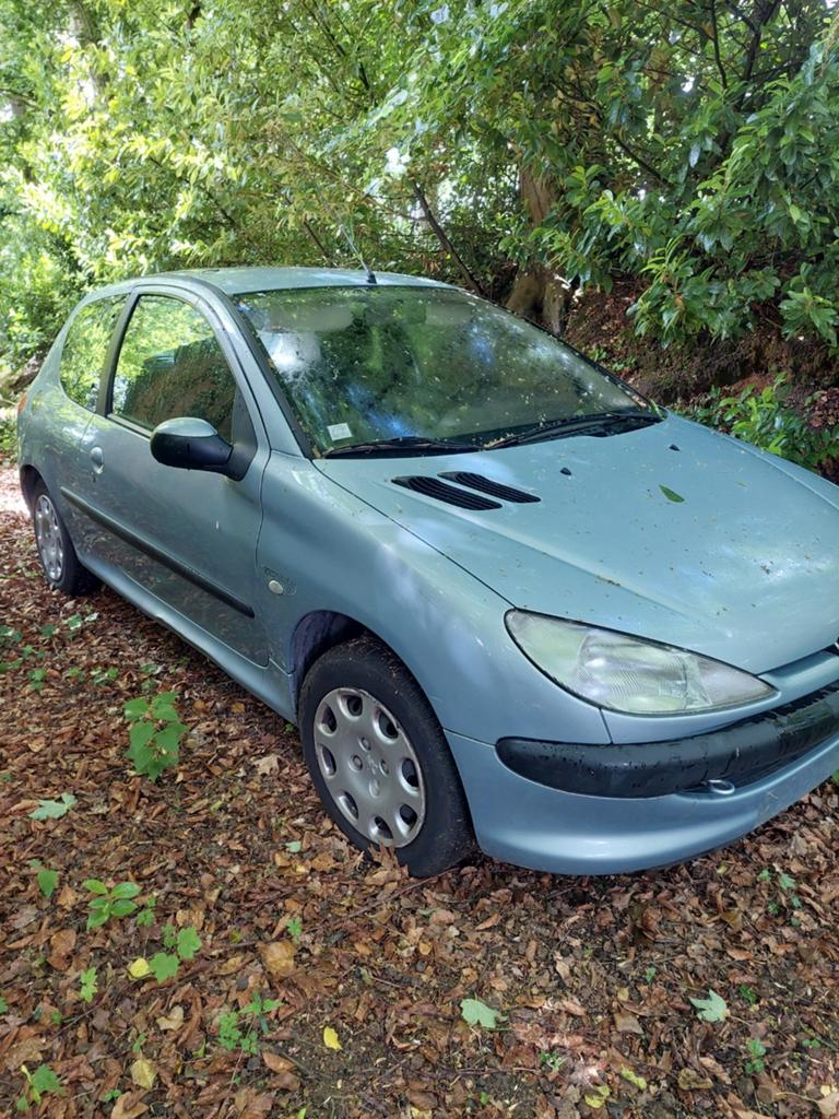 Peugeot 206 1,4 hdi, Autos, Particulier, Achat