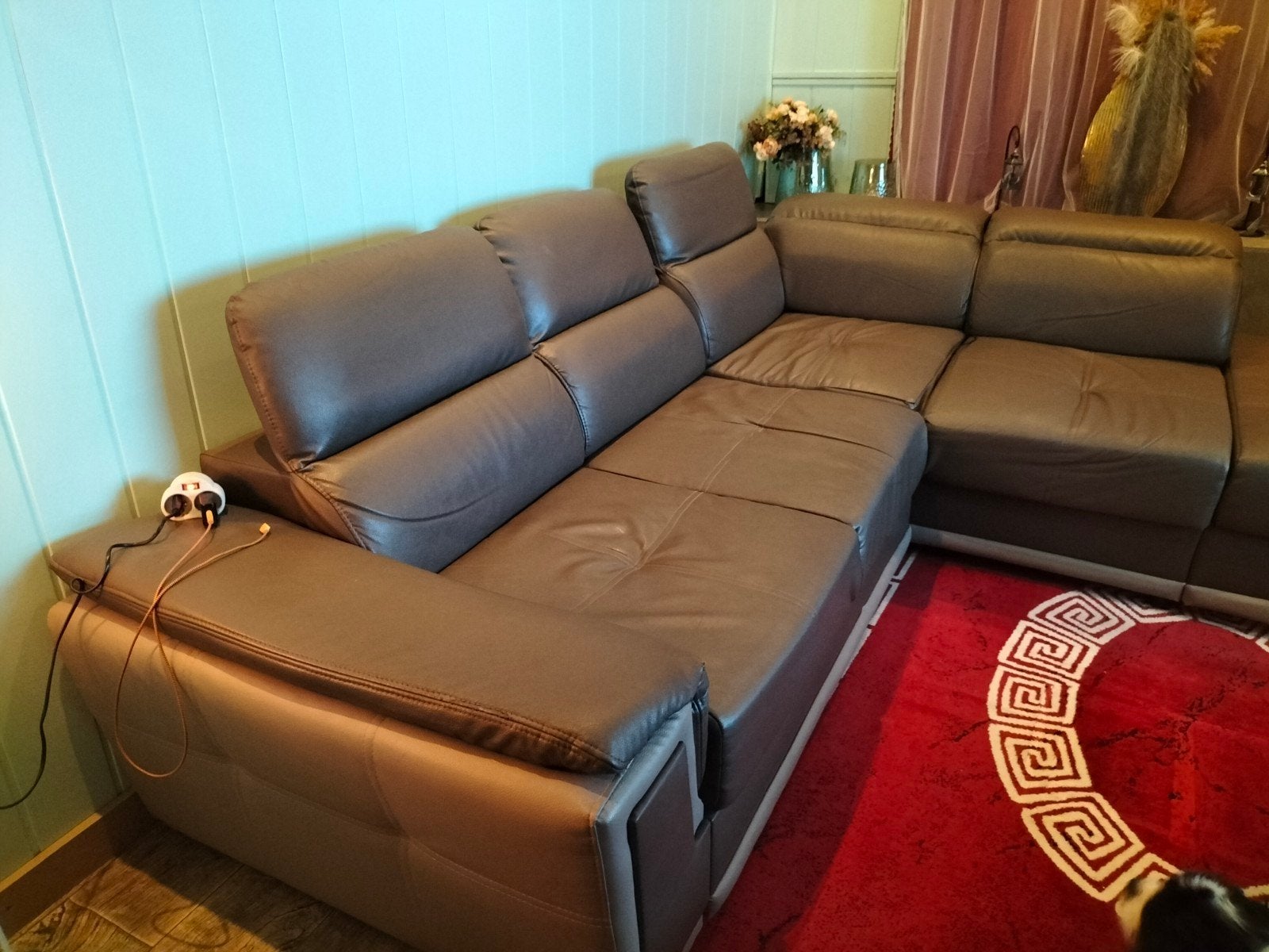 lederen salon, Ophalen, Gebruikt, Leer
