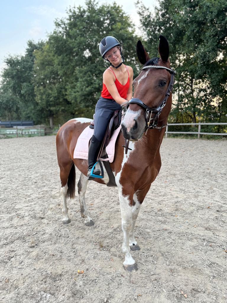 Lieve zangersheide merrie, Dieren en Toebehoren, Paarden, Merrie, Springpaard, Met stamboom, M