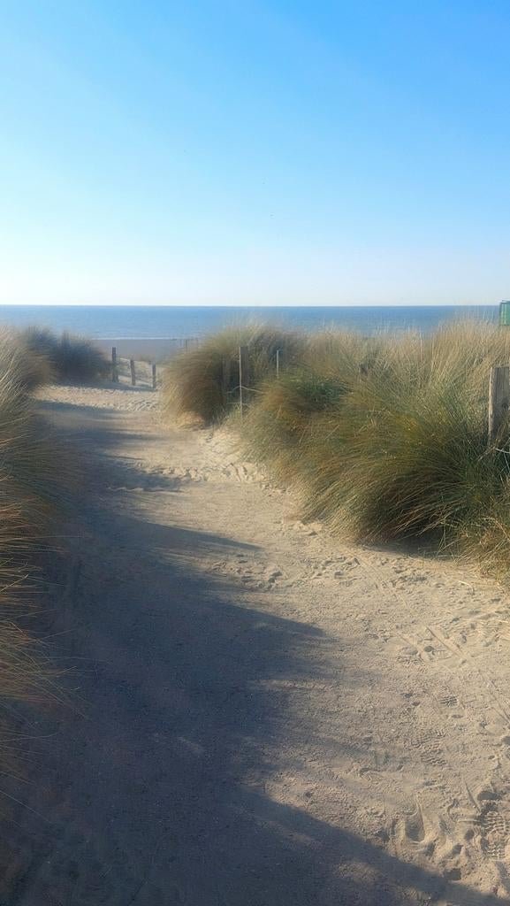 Appartement de 2 chambres prêt à emménager à Westende, Immo, Maisons à vendre, Province de Flandre-Occidentale, Appartement, Ventes sans courtier