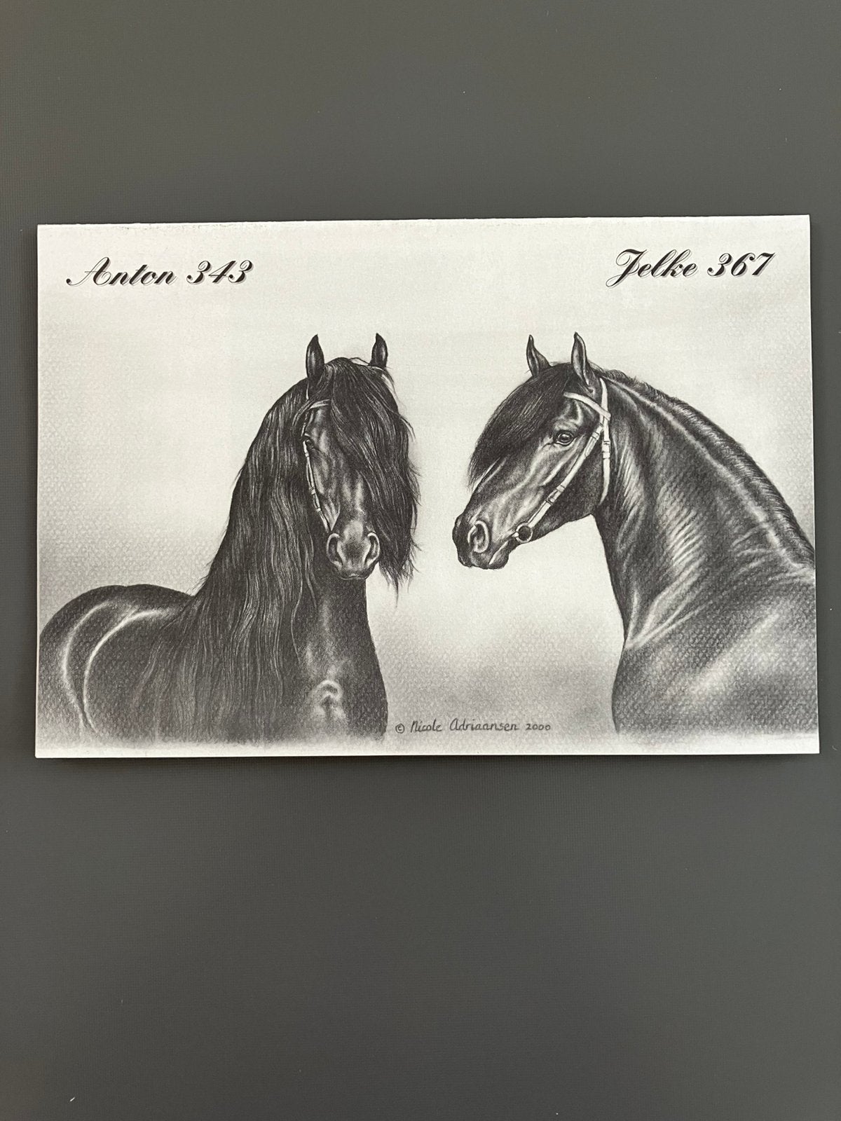 Tekening FRIESE Paarden., Enlèvement ou Envoi, Dessin