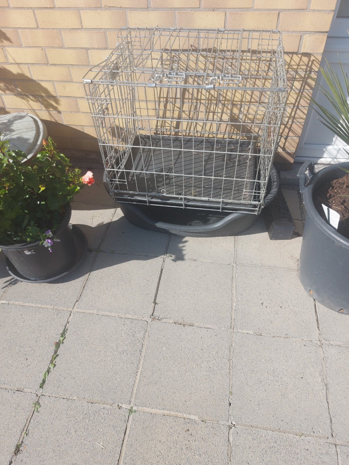 gratis bench en hondemand, Animaux & Accessoires, Enlèvement