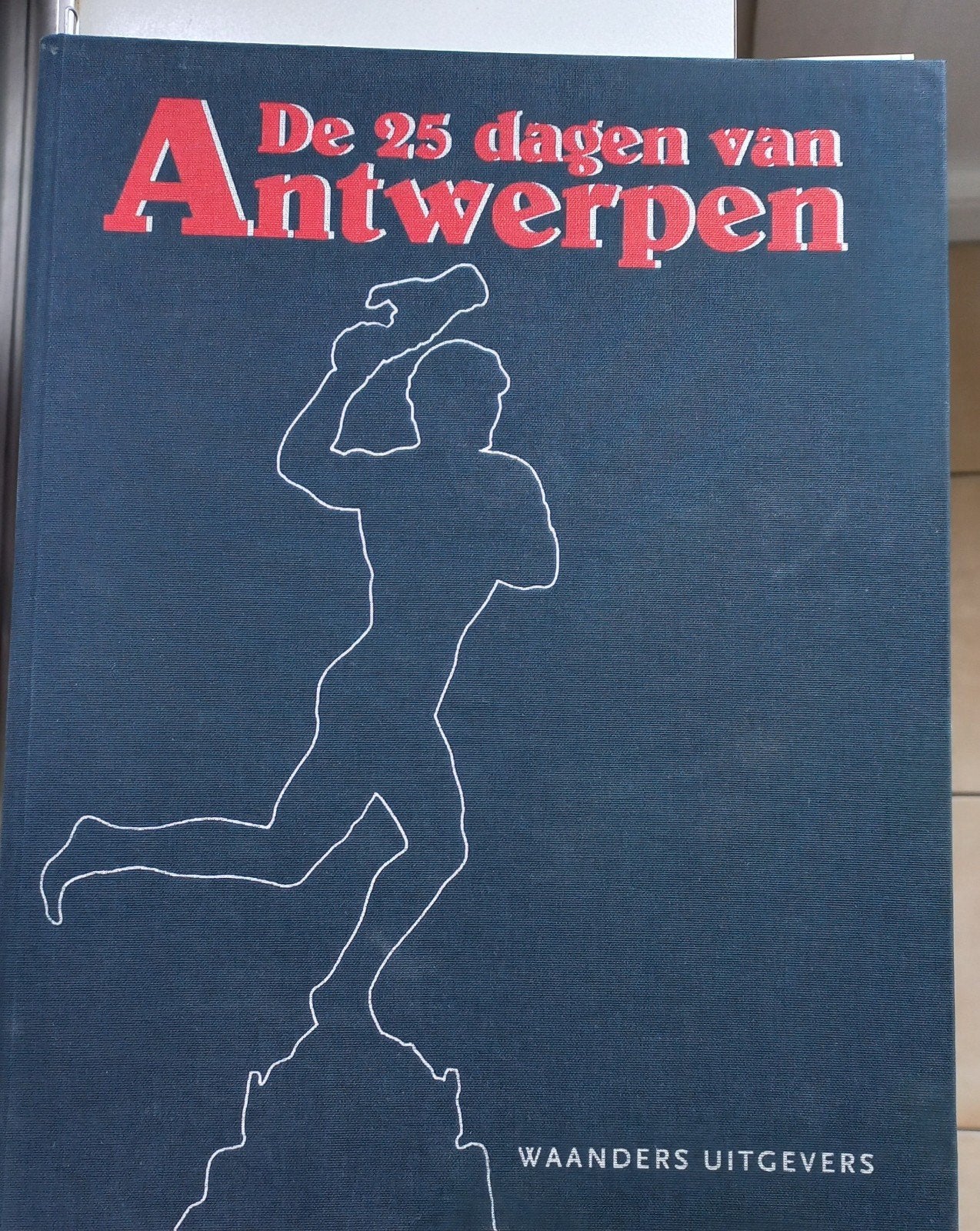 De 25 dagen van Antwerpen in perfecte staat, Boeken, Geschiedenis | Nationaal, Ophalen of Verzenden