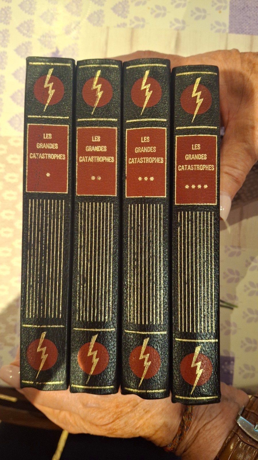 Les Grandes Catastrophes – 4 volumes – Éditions Famot, Enlèvement