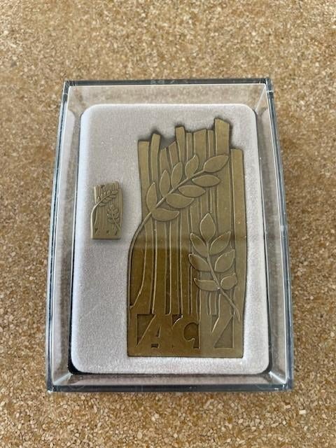 3 "ACV "Medailles 1 Bronzen met PIN en 1 Zilver/Bronskleurig, Ophalen of Verzenden, Brons