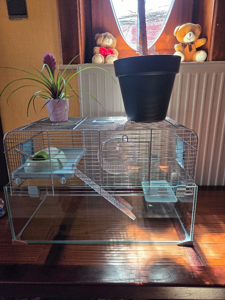 Belle et grande cage sur 2 niveaux, Moins de 60 cm, Cage, Comme neuf, Hamster