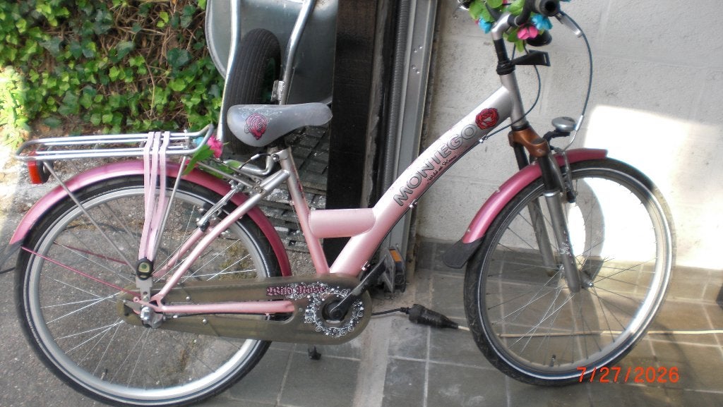 kinderfiets, Fietsen en Brommers, Ophalen, Terugtraprem, Handrem, Gebruikt