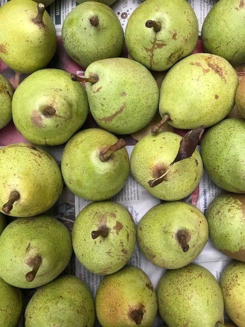 peren - oude rassen hoogstam - te koop, Ophalen