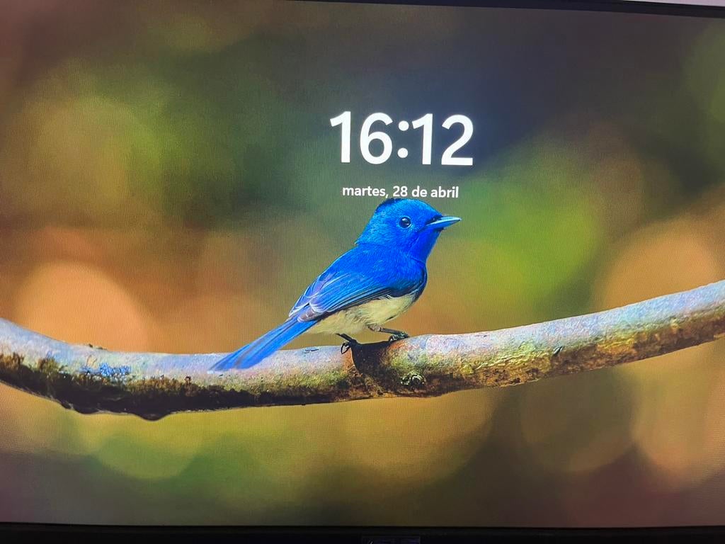 ASUS TUF Gaming, HD, In hoogte verstelbaar, ASUS, Ophalen