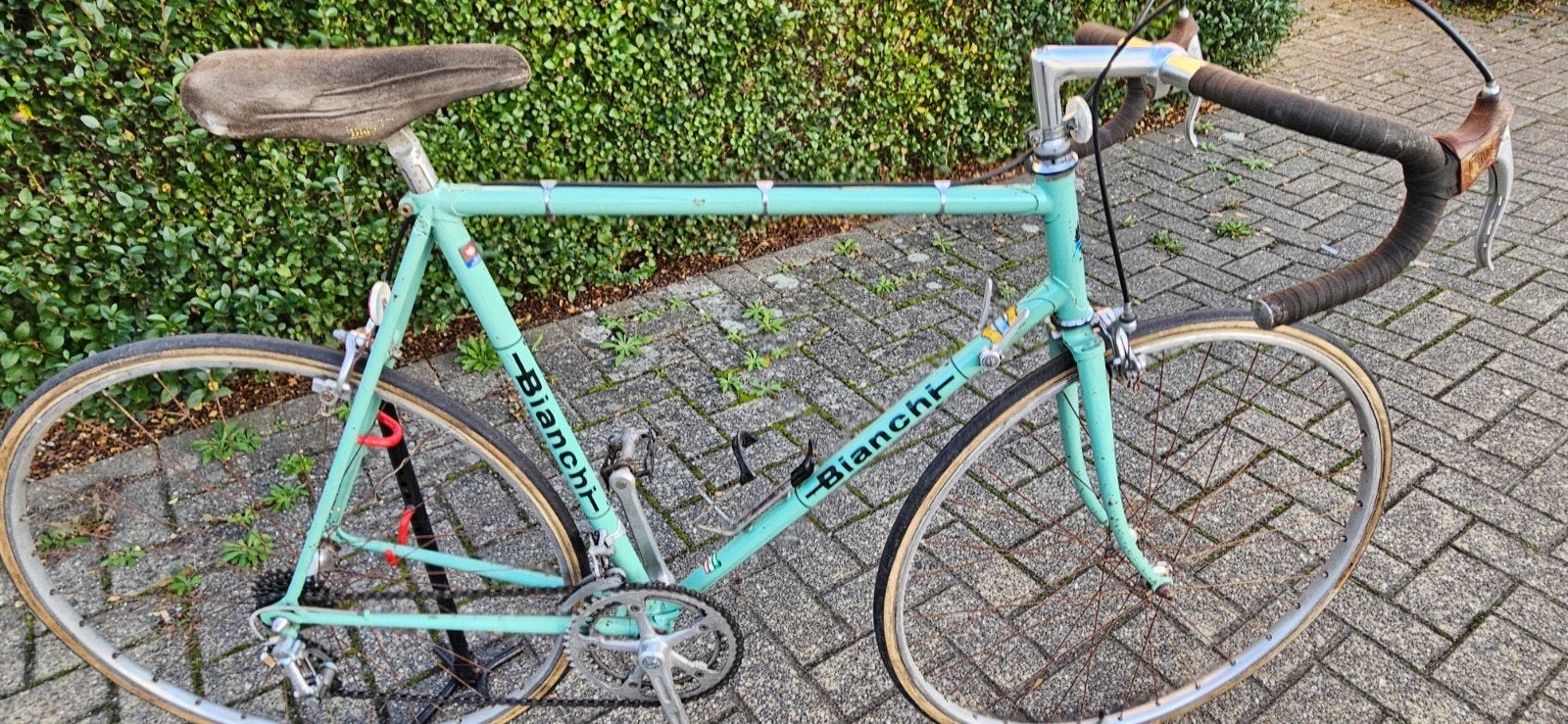 bianchi, Ophalen of Verzenden