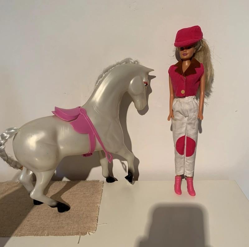 Barbie ruiter en paard, 2 leesboeken Barbie, Kinderen en Baby's, Ophalen of Verzenden, Gebruikt, Barbie
