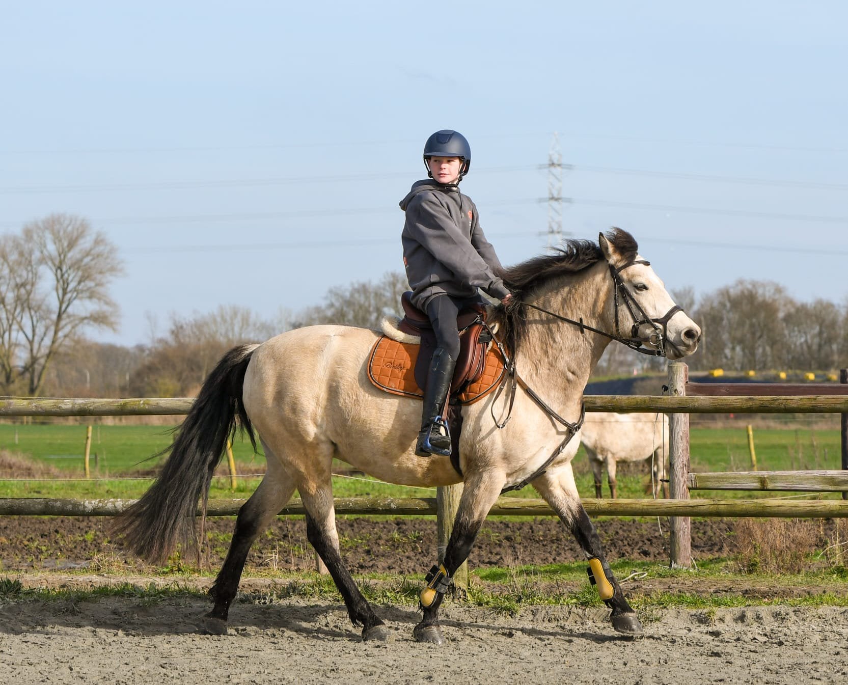 Uiterst brave pony, Jument