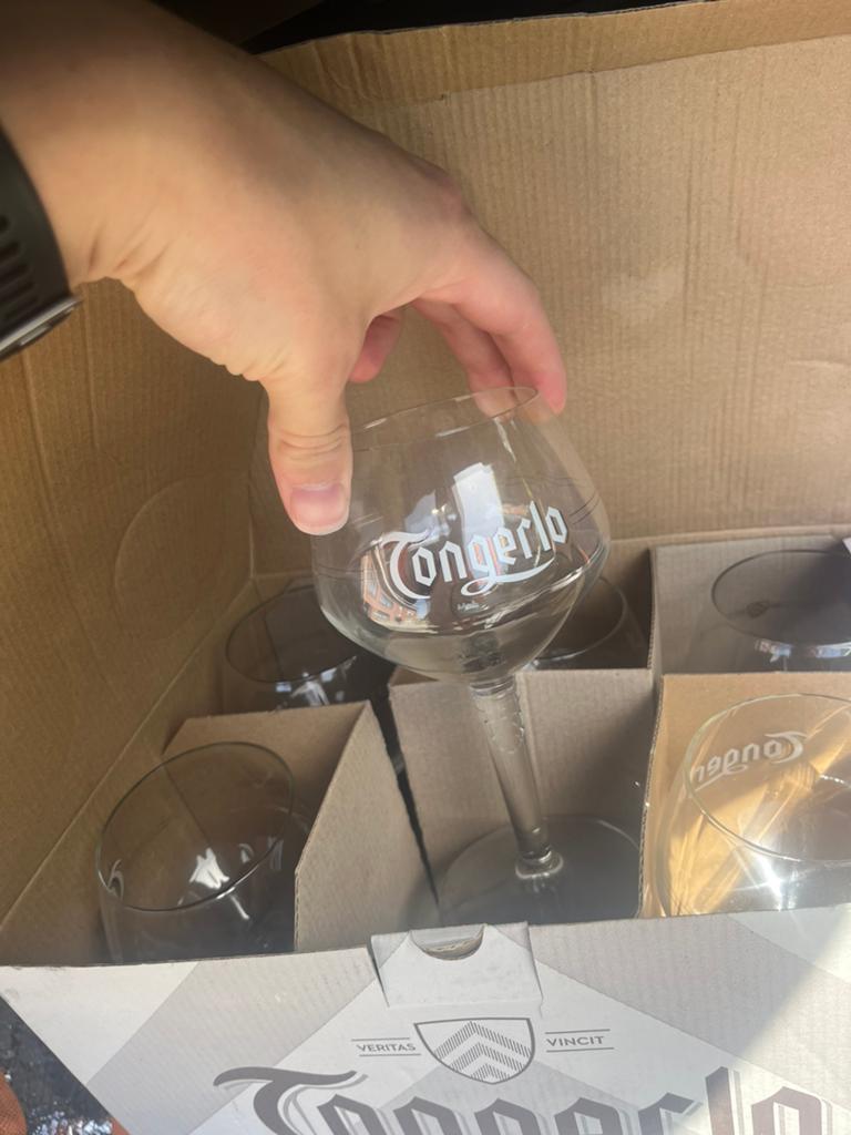 TONGERLO GLAZEN 6 stuks 25 CL, Ophalen of Verzenden, Zo goed als nieuw