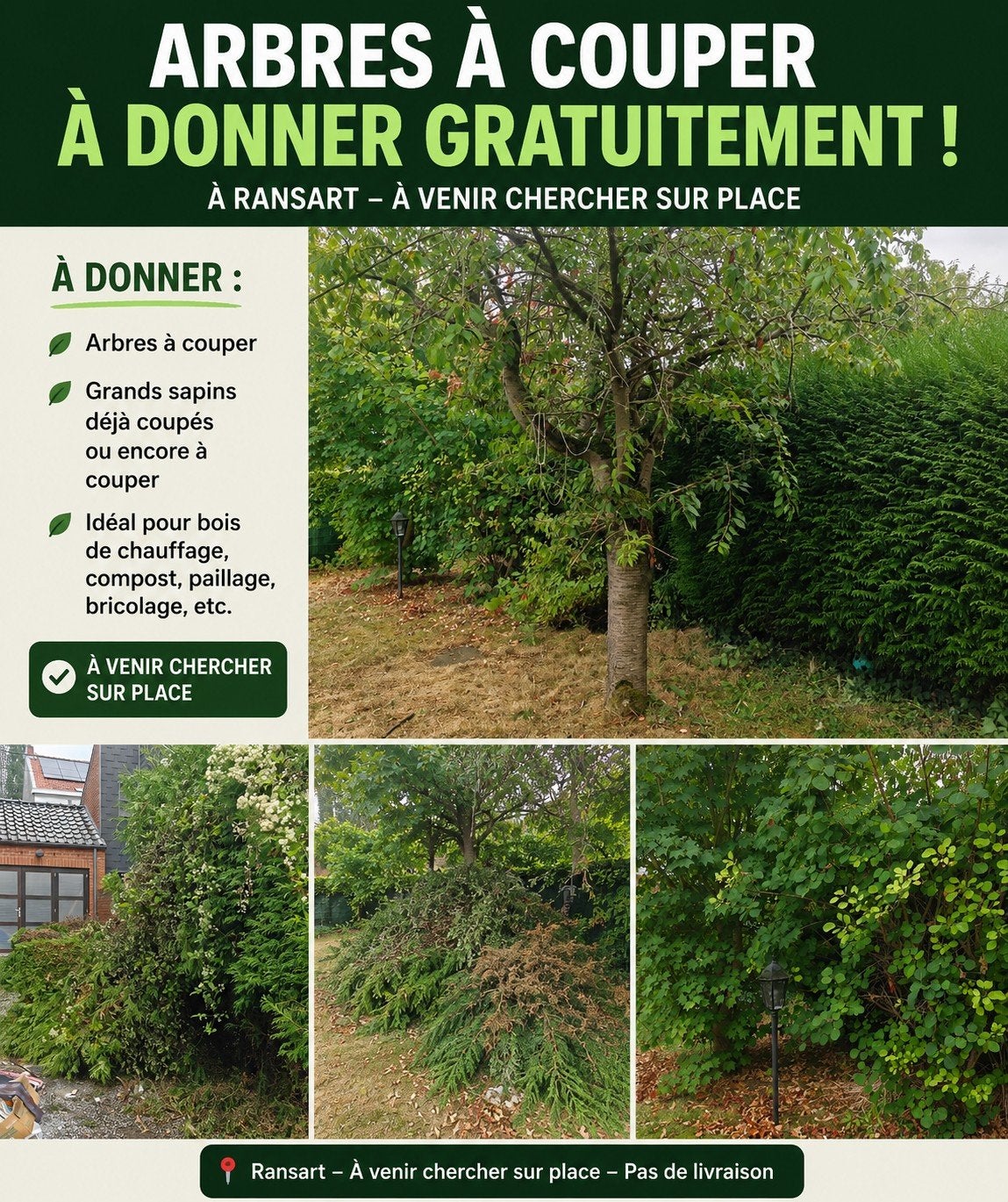arbres et sapins à donner sur ransart, Livres, Enlèvement