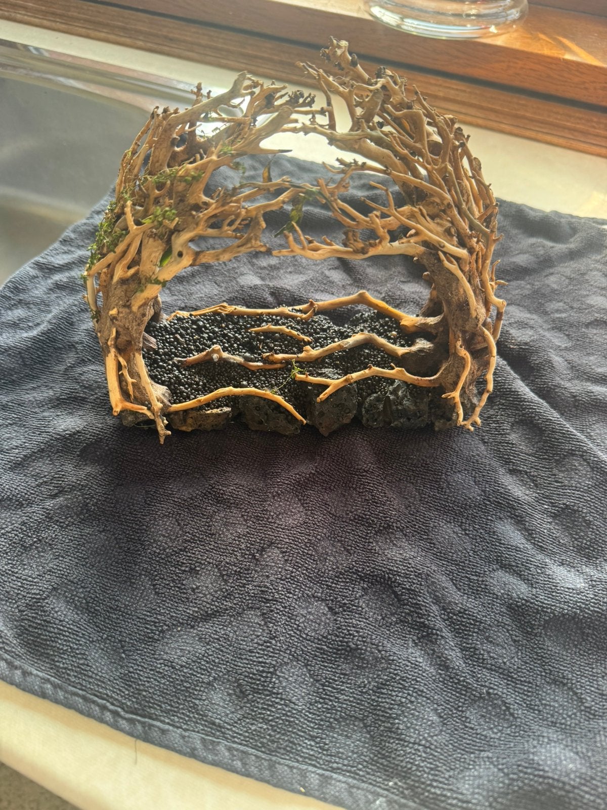 Aquarium bonsaistuk, Antiek en Kunst, Ophalen