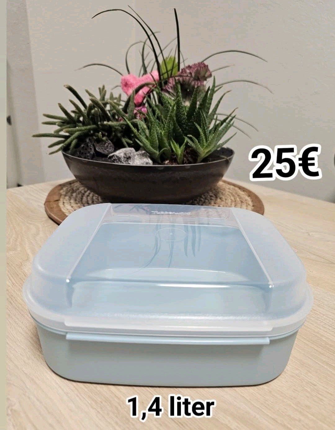Boîte à charnières Tupperware, Enlèvement ou Envoi