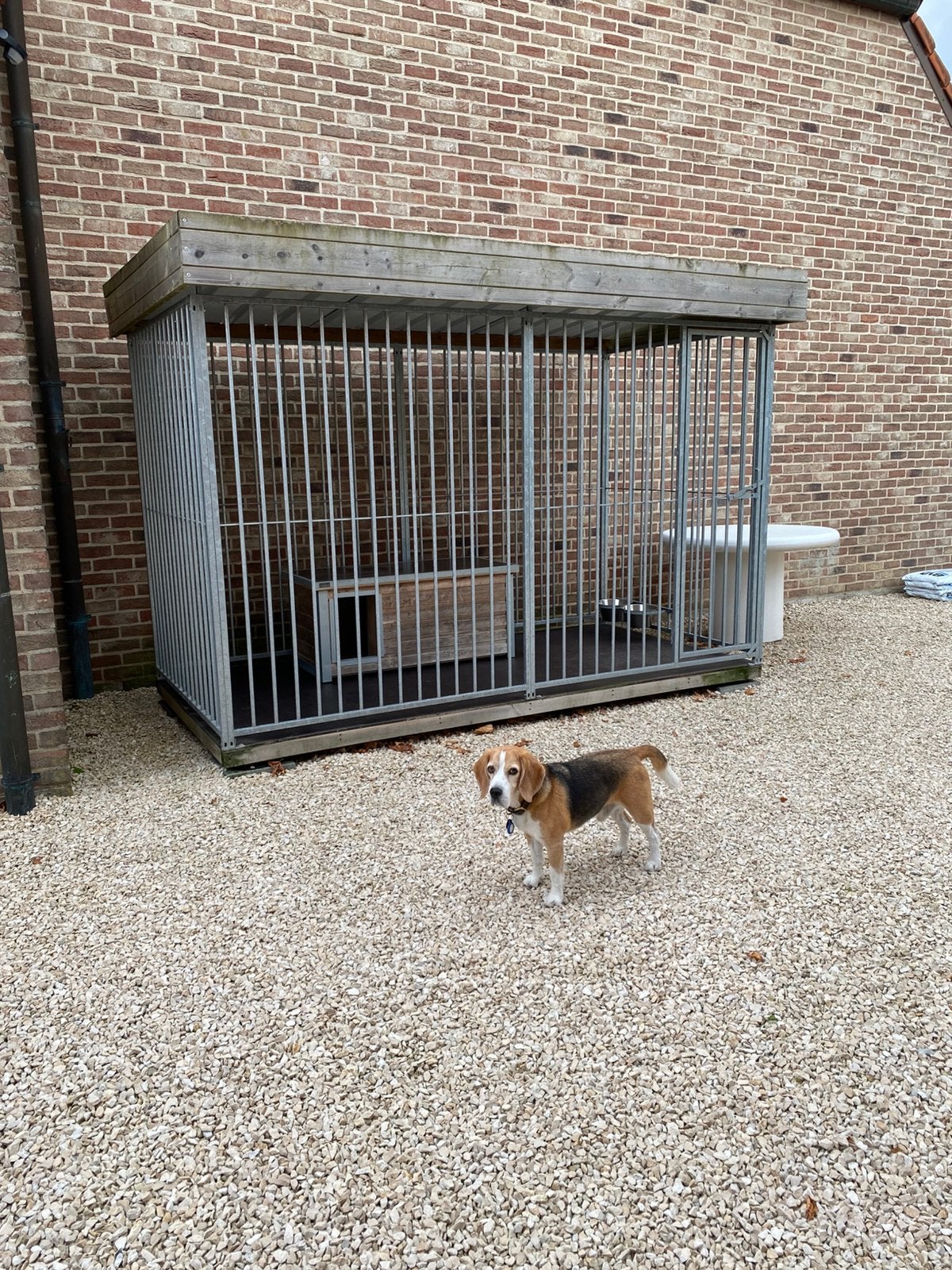 #Kennel#hondenren#hondenhok#bijnanieuw#, Dieren en Toebehoren, Ophalen