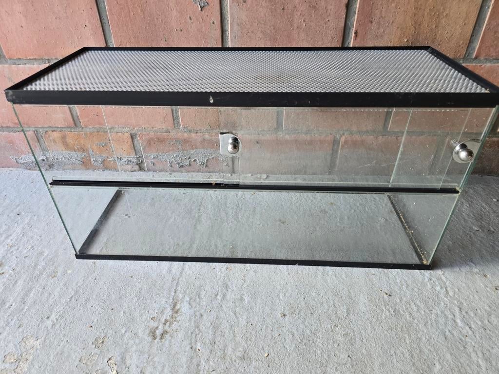 Terrarium, Enlèvement