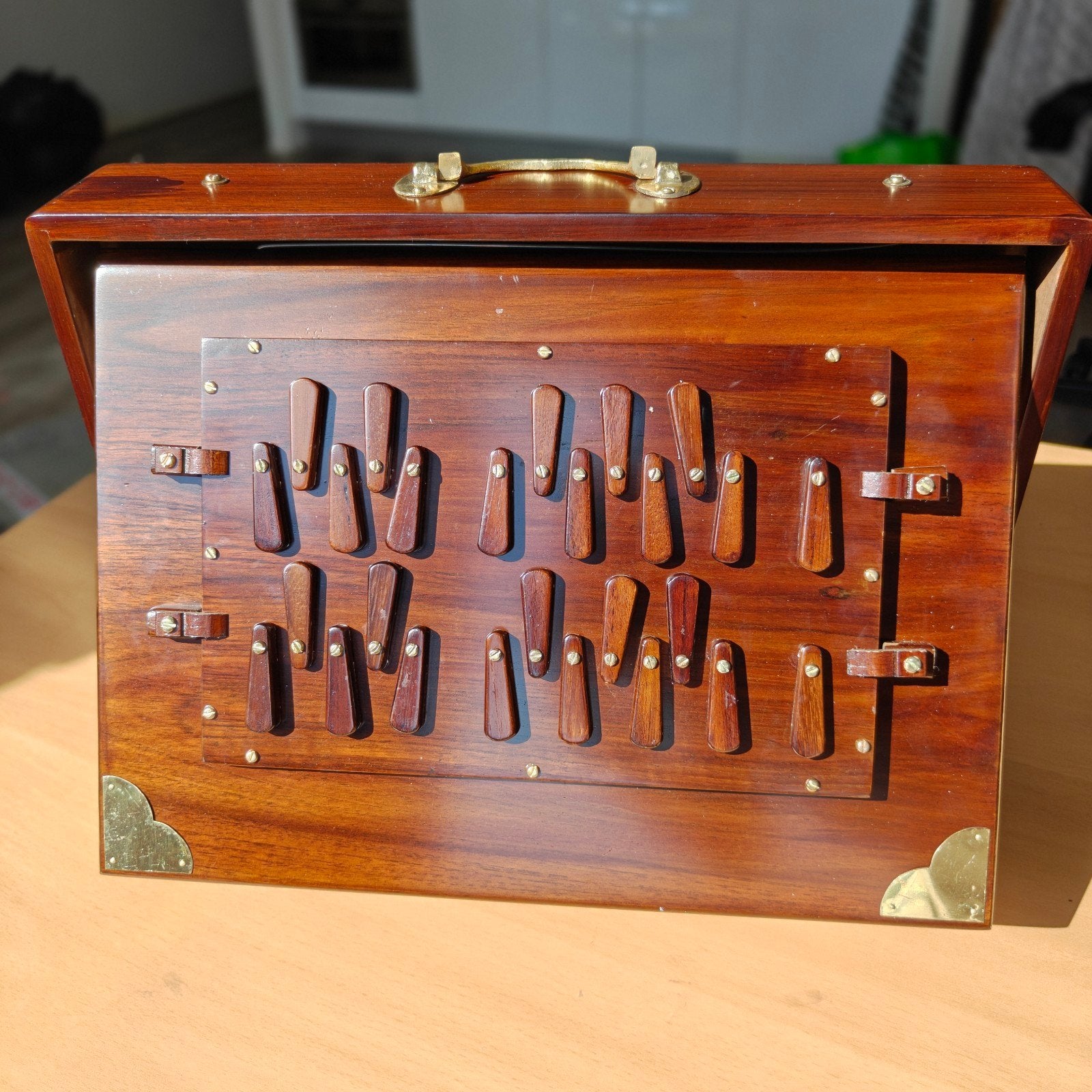 2 Octaaf Shruti Box - Ons Fabrikant, Muziek en Instrumenten, Ophalen, Nieuw