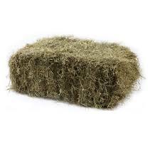 Foin sans mauvaises herbes à vendre