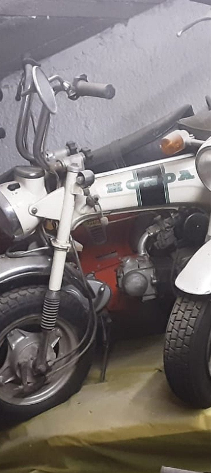 gezocht witte  belgishe Honda Dax st50, Enlèvement