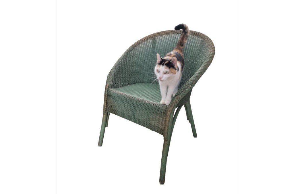 Lloyd Loom kuipfauteuil in groen - gedateerd Nov. 1954, Ophalen