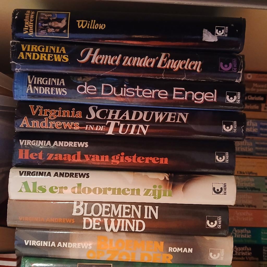 Boeken in goede staat waaronder romans,fictie en non-fictie., Boeken, Ophalen of Verzenden