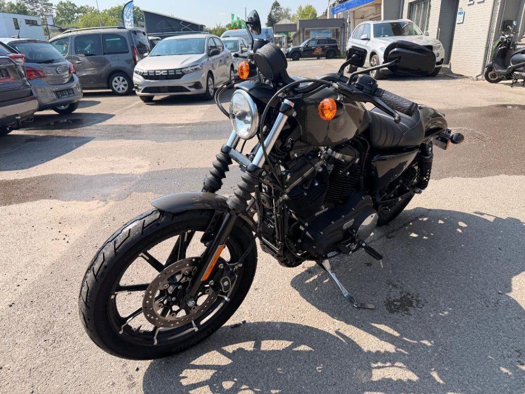 Harley Davidson Iron 883 gekeurd voor verkoop, Motoren, Motoren | Harley-Davidson, 2 cilinders, 883 cc, Meer dan 35 kW, ABS