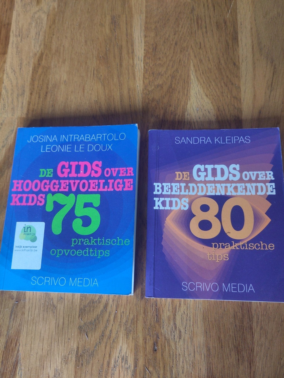 Sandra Kleipas - De gids over beelddenkende kids, Livres, Grossesse & Éducation, Enlèvement ou Envoi, Sandra Kleipas