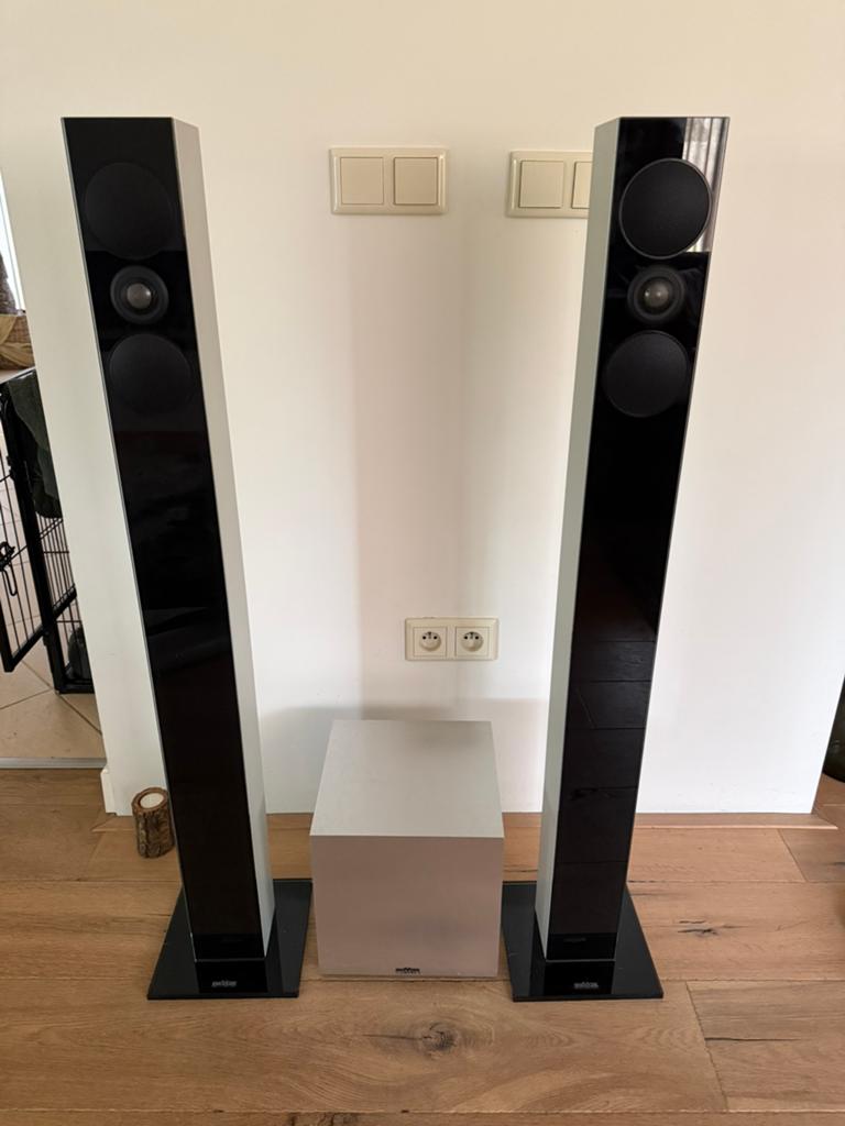 Revox Speaker set met subwoofer, Audio, Tv en Foto, Luidsprekerboxen, Subwoofer, Zo goed als nieuw, 60 tot 120 watt, Revox