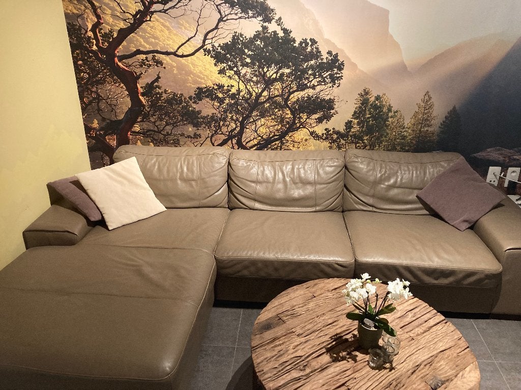 Chaise d'angle spacieuse Henders & Hazel - 310 cm - 300€, Maison & Meubles, Synthétique, 100 à 125 cm, Quatre personnes ou plus