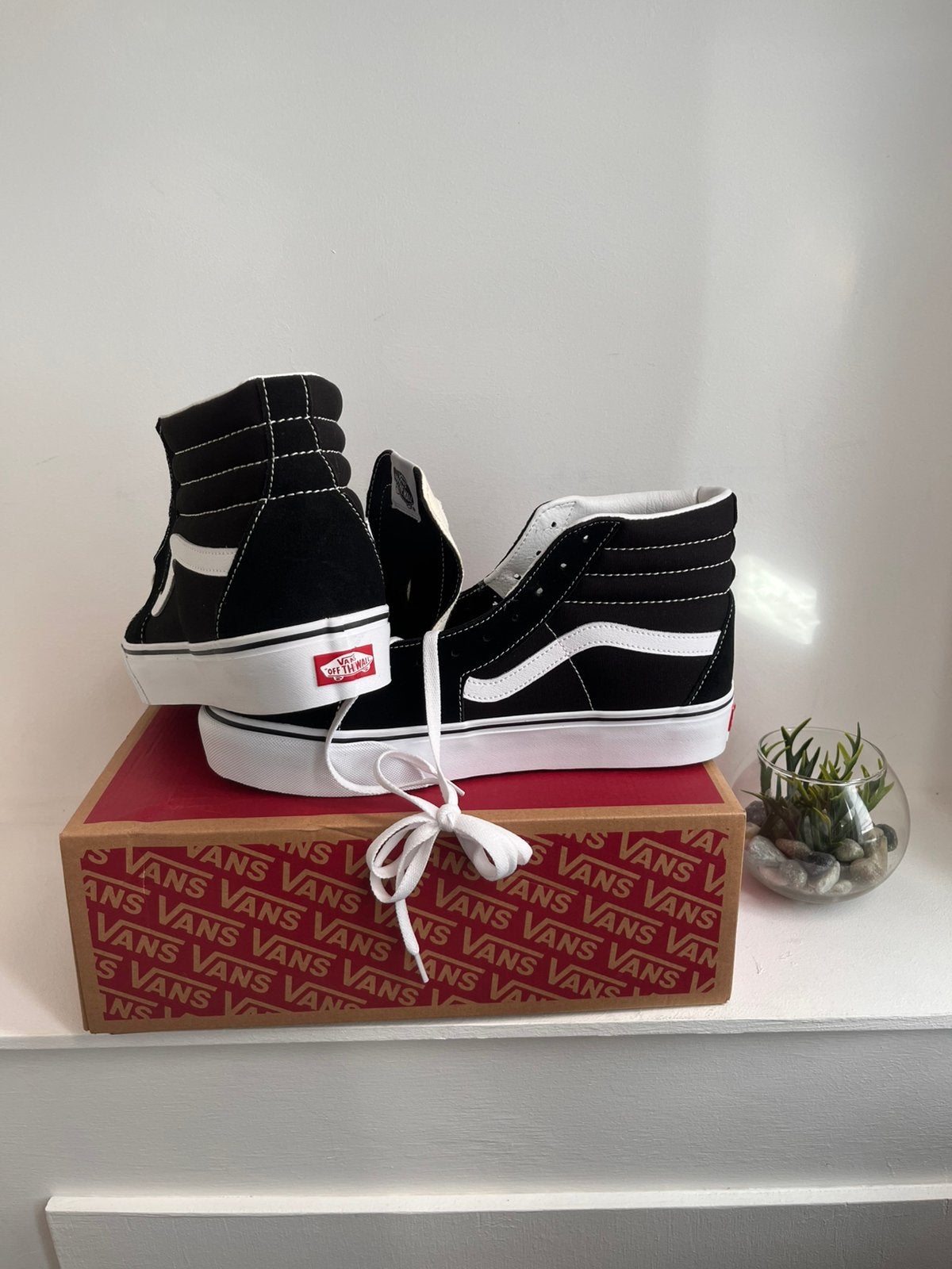 Baskets VANS Montantes, Enlèvement ou Envoi, Neuf