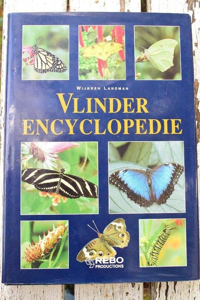 Vlinder Encyclopedie, Wijbren Landman, Ophalen of Verzenden, Zo goed als nieuw, Dieren