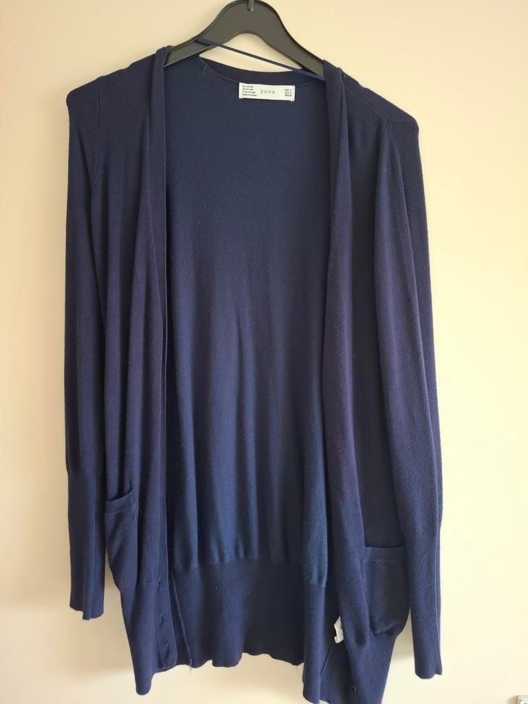 Cardigan, Blauw, Zara, Zo goed als nieuw, Ophalen