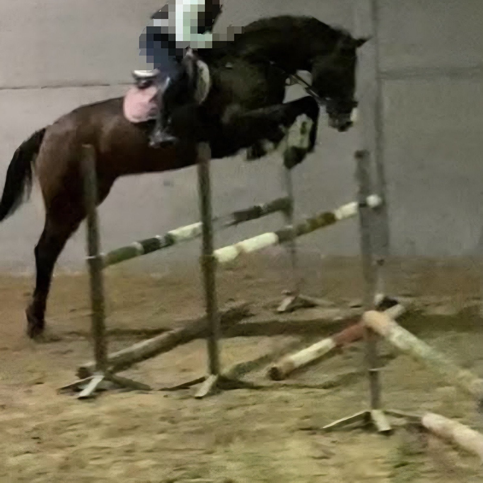 ️⭐️~messi van het dravershof~⭐️ super fijne allrounder, Dieren en Toebehoren, Springpaard, Met stamboom, Ruin, M