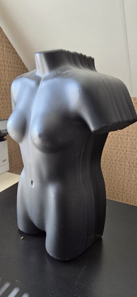 buste kunststofkleding markt winkeluitrusting lingerie bad, Kleding | Dames, Overige Dameskleding, ANDERE, Ophalen, Zo goed als nieuw
