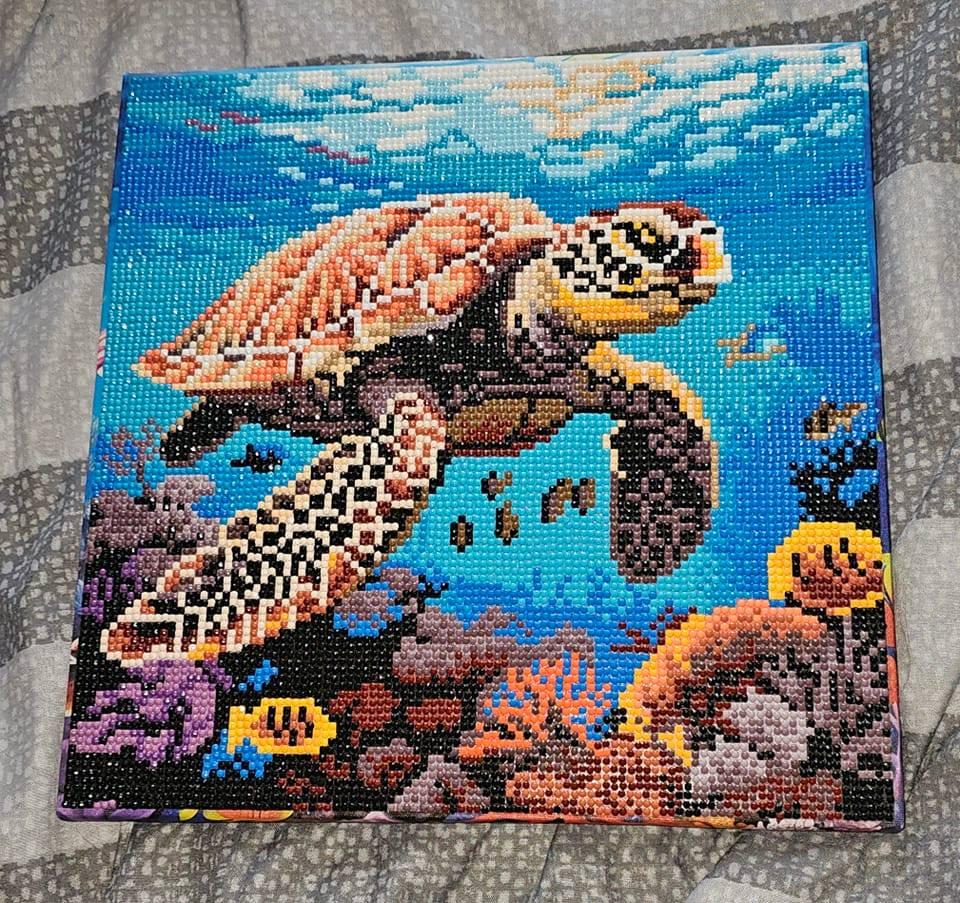 schildpad diamond painting gemaakt nieuw, Ophalen, Nieuw