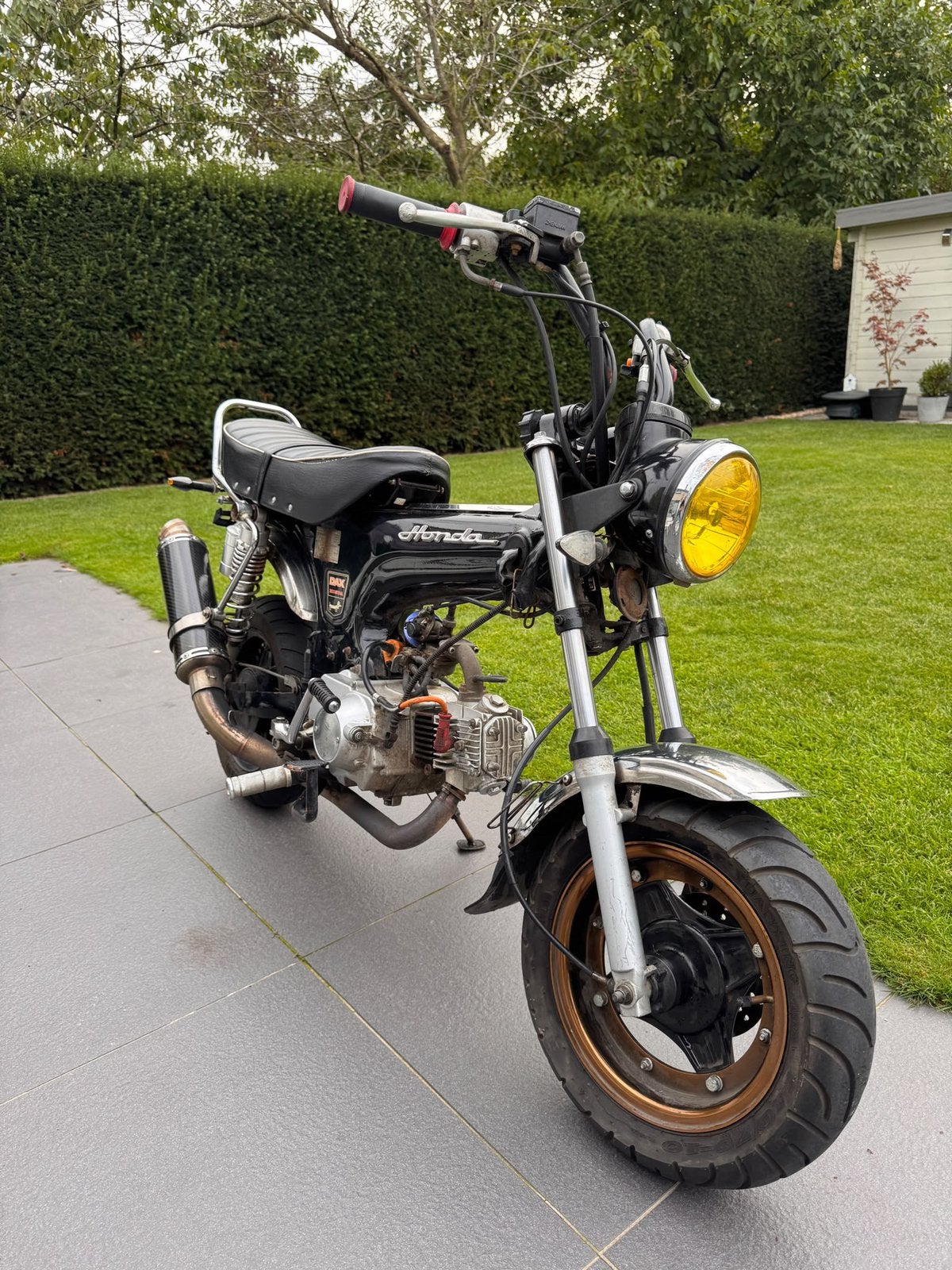Dax (chinese) te koop, Ophalen, Gebruikt