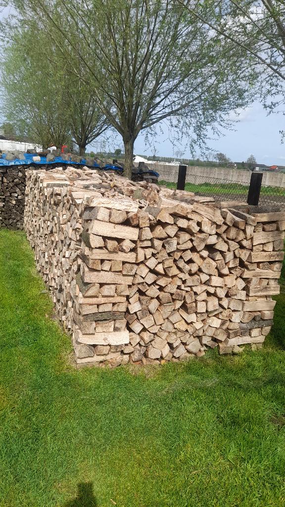 Brandhout eik en beuk 33cm lang, Tuin en Terras, Brandhout, Eikenhout, Ophalen
