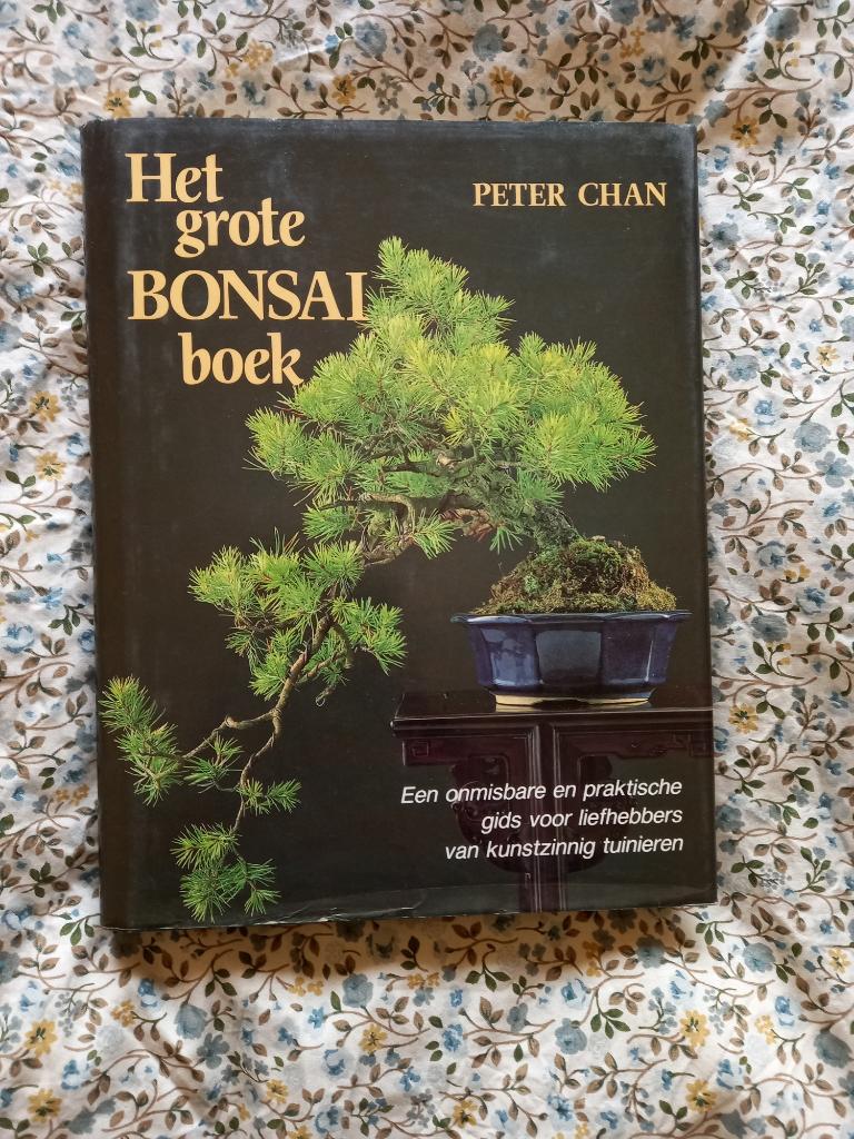 Het grote bonsai boek, Boeken, Ophalen of Verzenden, Zo goed als nieuw, Overige onderwerpen, Geschikt voor kinderen