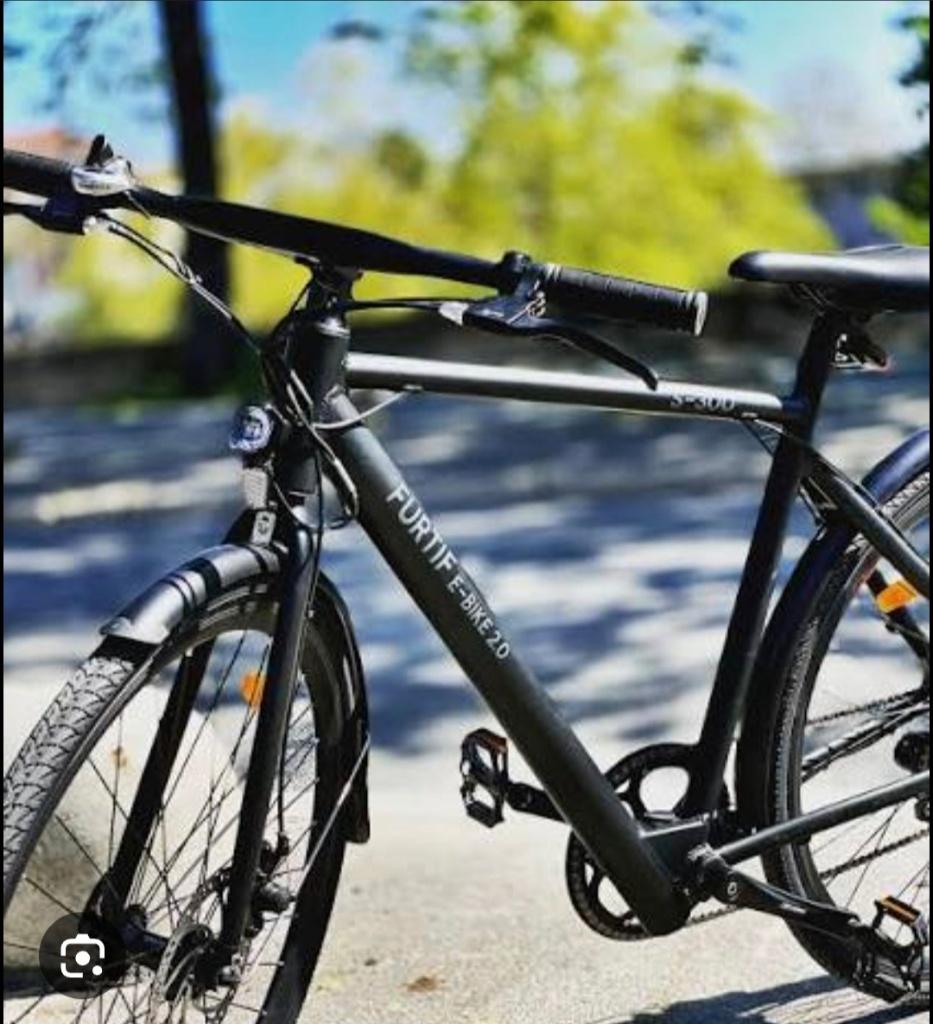 Vélo électrique, Vélos & Vélomoteurs, Autres marques, Vitesses, 65 cm ou plus, Comme neuf