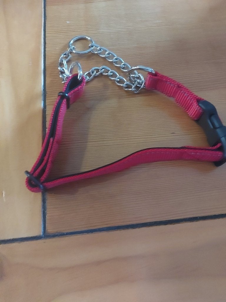 collier de dressage pour chien, Animaux & Accessoires, Enlèvement, Neuf, Collier