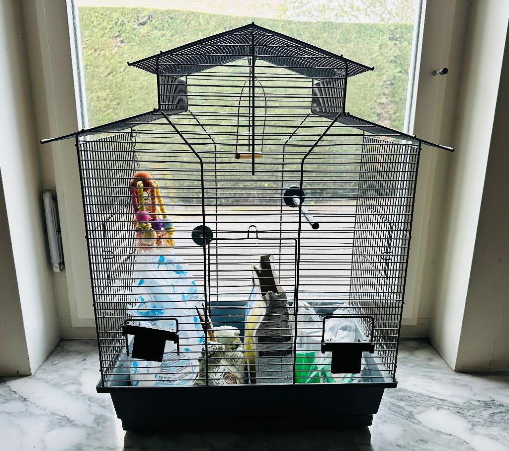 Beeztees Iza 2 Pagode – Vogelkooi – Zwart – 45x28x59,5 cm, Dieren en Toebehoren, Ophalen, Gebruikt, Metaal, Vogelkooi