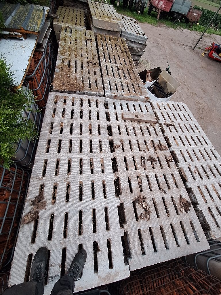 Betonroosters / grasdals / mudcontrol koeienstal, Pâturage